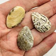 Load image into Gallery viewer, 3 Wild Cat Feldspar Carved Teardrop Twist Pendant Beads 008904
