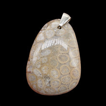 Load image into Gallery viewer, Coral Fossilized with Tiny Critters Sterling Silver Pendant | 2 1/4" Long |