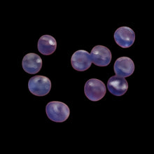 Load image into Gallery viewer, Tanzanite (approx 2.5cts) Rondelle Bead Parcel | 3x2mm | Blue | 10 Beads |