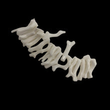 Load image into Gallery viewer, Coral Branch beads | 20x3 to 17x2mm | White | 17 Beads |