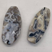 Load image into Gallery viewer, Ocean Jasper Old Stock Long Oval Beads| 45x22x6 to38x20x7mm| Gray, Black|2 Beads