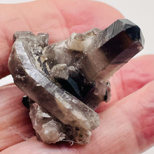 Load image into Gallery viewer, Smoky Quartz Crystal Cluster 29g Natural Display Specimen| 55x38x35mm| Smoky | 1