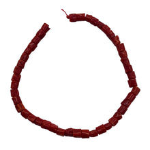 Load image into Gallery viewer, Natural AAA Red Coral Branch Bead Strand | 4x6mm | 44 Beads |