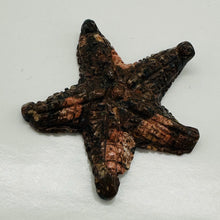 Load image into Gallery viewer, Hand Carved Mica Quartz Starfish Pendant Bead | 67x65x10mm | Brown, Pink |