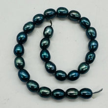 Load image into Gallery viewer, Fresh Water Perfect Pearls Half Strand | 8x6mm | Midnight Ocean Blue| 25 Pearls|