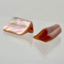 Load image into Gallery viewer, 2 Beads of Natural Dark Pink Mussel Shell Beads 4324