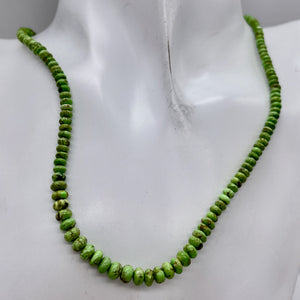 Gaspeite Hi Grade Graduated Rondelle Strand | 5 to 3mm| Green Brown | 165 Beads|