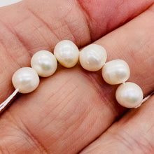 Load image into Gallery viewer, Round Fresh Water Wedding Pearls Parcel | 7mm | Glowing White | 6 Pearls |
