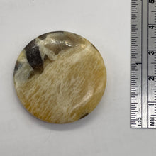 Load image into Gallery viewer, Big Cat Natural Untreated Feldspar 35mm Coin Pendant Bead | 35x5.5mm | 1 Bead |