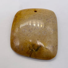 Load image into Gallery viewer, Coral Fossilized with Tiny Critters Pendant Bead | 45x38x8mm | 1 Bead |