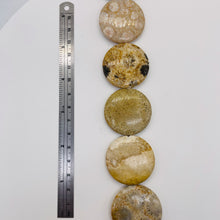 Load image into Gallery viewer, Fossilized Coral 35mm Coin Pendant Bead Strand 109156