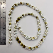 Load image into Gallery viewer, Shiva Shell 16" Strand Heart Cut Beads | 6x3mm | White, Tan | 70 Beads