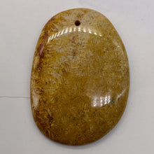 Load image into Gallery viewer, Fossilized Coral Oval Pendant Bead | 58x41x6mm | Beige Orange |
