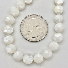 Load image into Gallery viewer, Mississippi White Ebony Shell 7 Coin 8x4mm Beads