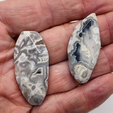 Load image into Gallery viewer, Ocean Jasper Old Stock Long Oval Beads| 45x22x6 to38x20x7mm| Gray, Black|2 Beads