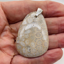 Load image into Gallery viewer, Coral Fossilized with Tiny Critters Sterling Silver Pendant | 2 1/4" Long |