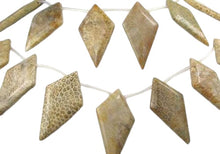 Load image into Gallery viewer, Pre-Cambrian Fossilized Coral Briolette Bead 8 inch Strand 9171HS