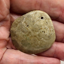 Load image into Gallery viewer, Coral Fossilized with Tiny Critters Pendant Bead | 46x43x8mm | 1 Bead |