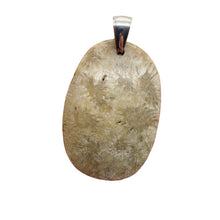Load image into Gallery viewer, Coral Fossilized with Tiny Critters Sterling Silver Pendant | 2 1/4" Long |