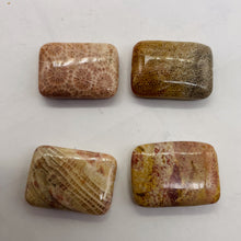 Load image into Gallery viewer, Fossilized Coral Rectangle Pendant Beads | 24x17x7mm | Red, Brown | 4 Beads |