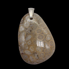 Load image into Gallery viewer, Coral Fossilized with Tiny Critters Sterling Silver Pendant | 2 1/4" Long |