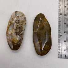 Load image into Gallery viewer, Ocean Jasper Old Stock Long Oval Beads| 45x22x6 to38x20x7mm|Brown, Gray|2 Beads|