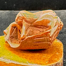 Load image into Gallery viewer, Mermaid in a Nautilus Shell Signed Netsuke Bead | 25x21x14mm | Brown