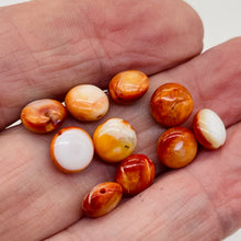Load image into Gallery viewer, Spiny Oyster Flat Round Bead Parcel | 8x4mm | Orange White | 10 Beads |