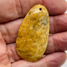 Load image into Gallery viewer, Fossilized Coral Teardrop Pendant Bead | 53x29x7mm | Orange Beige |