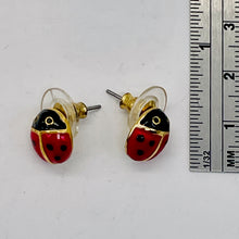 Load image into Gallery viewer, Fashion Lady Bug Oval Post Earrings | 7/8" | Red Black | 1 Pair |
