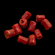 Load image into Gallery viewer, Natural AAA Red Coral Branch Tube Beads | 6 to 7 x 4mm | Red | Tube | 10 Beads |