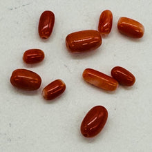 Load image into Gallery viewer, Coral Oval Graduated Beads Parcel | 20 Beads | 8x4 to 6x3mm | Red |