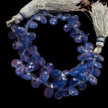 Load image into Gallery viewer, Tanzanite AAA Graduated Briolette Bead Strand | 8" Long | Lavender | 75 Strand |