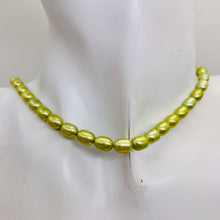Load image into Gallery viewer, Fresh Water Pearl 16" Strand Oval | 8x5mm | Golden Chartreuse Green | 56 Pearl |