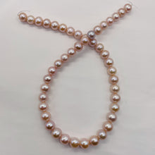 Load image into Gallery viewer, Bridal Perfect Round Pearl 16 Inch Strand | 10 - 9 12/mm | Pink | 45 Pearls |
