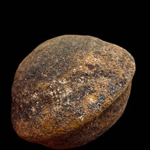 Load image into Gallery viewer, Moqui Marble Shaman Stone 83g Display Specimen | 42x35mm | Brown | 1 Specimen |