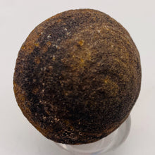 Load image into Gallery viewer, Moqui Marble Shaman Stone 83g Display Specimen | 42x35mm | Brown | 1 Specimen |