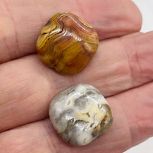 Load image into Gallery viewer, Wild Crazy Lace Agate Square Coin Bead Strand 109225
