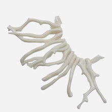 Load image into Gallery viewer, Coral Branch Beads | 50x3 to 41x3mm | White | 12 Beads |