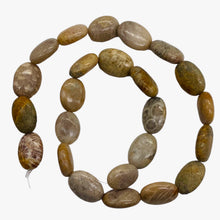 Load image into Gallery viewer, 3 Fossilized Coral Focal Oval Beads 8970