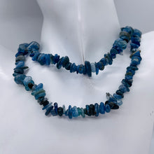 Load image into Gallery viewer, Kyanite Strand Chip Beads | 11x8x5 to 7x5x4mm | Blue | 200 Beads |