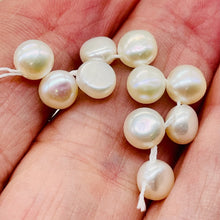 Load image into Gallery viewer, 10 top-Drilled Creamy White Fresh Water Pearls 4762