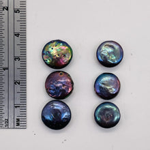 Load image into Gallery viewer, Ebony Rainbow Coin Pearls | 10-12mm | Lavender Blue Pink | 6 Pearls |