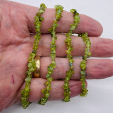 Load image into Gallery viewer, Peridot Strand Chip | 32" Long | 11x8x5 to 7x5x4mm | Green | 200 Bead |