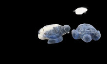 Load image into Gallery viewer, Majestic 2 Carved Sodalite Sea Turtle Beads | 22.5x18x7.5mm | Blue white