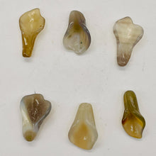Load image into Gallery viewer, Soothing 1 Carved Grey Chalcedony Flower Beads 10234