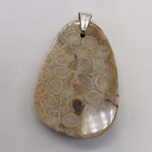 Load image into Gallery viewer, Coral Fossilized with Tiny Critters Sterling Silver Pendant | 2 1/4" Long |