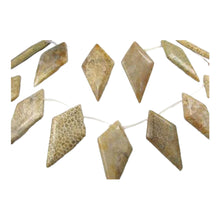 Load image into Gallery viewer, Pre-Cambrian Era Fossilized Coral Briolette Bead Strand 109171