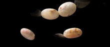 Load image into Gallery viewer, 4 Speckled Peach Chalcedony Oval Beads 9159