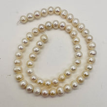 Load image into Gallery viewer, Round Fresh Water Wedding Pearls Parcel | 7mm | Glowing White | 6 Pearls |
